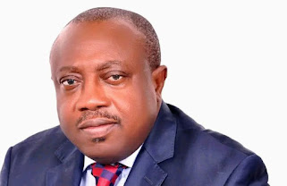 Group threatens to recall Ngozi Okolie over alleged poor performance