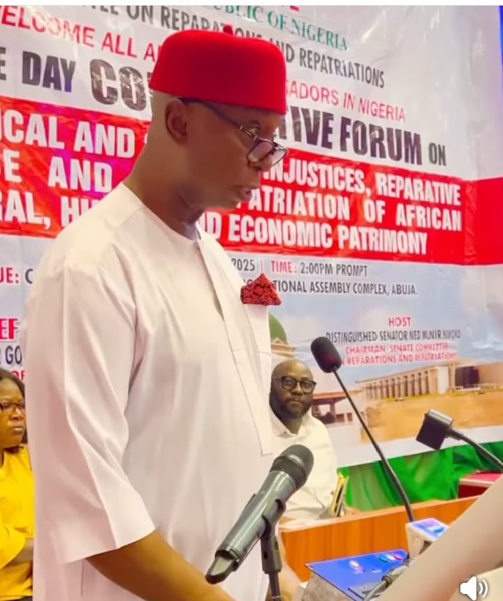 We are coordinating with other African Nations to build a common platform for pursuing the return of looted cultural heritage – Senator Ned Nwoko, Senate Committee Chairman on Reparations