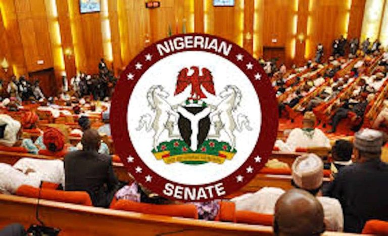 Senator Nwoko’s push for Anioma State now closer as NASS Joint Committee approves one State for South East 
