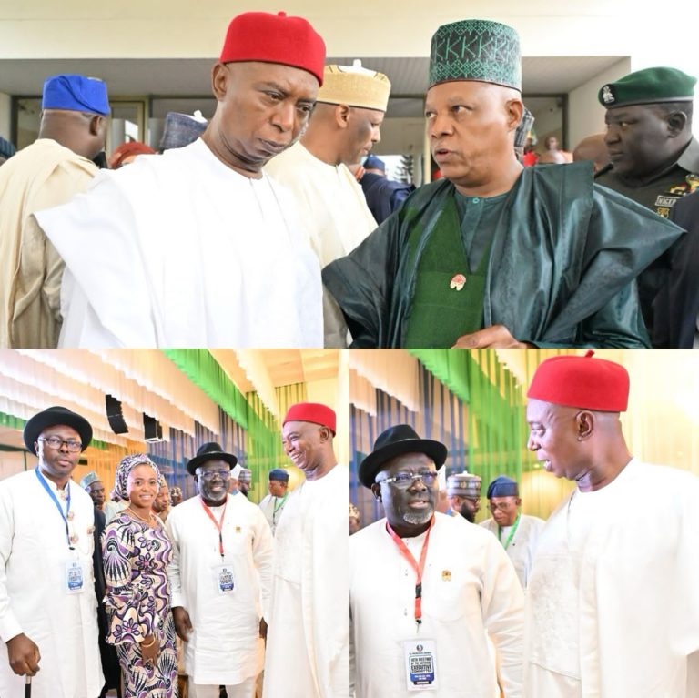 Senator Ned Nwoko joins Delta Delegation at the APC 14th NEC Meeting to ratify Dr. Nentawe Yilwatda as new National Chairman
